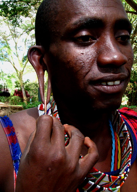 Ureche de masai