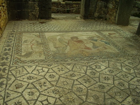 012 - Mozaic la Volubilis