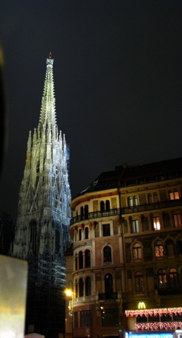 Dom gotic in Viena