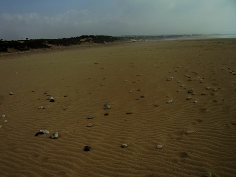 Malul nisipos cu pietre de Atlantic