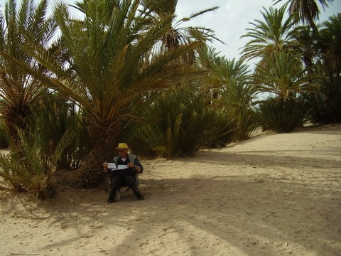 Un birou sub palmieri
