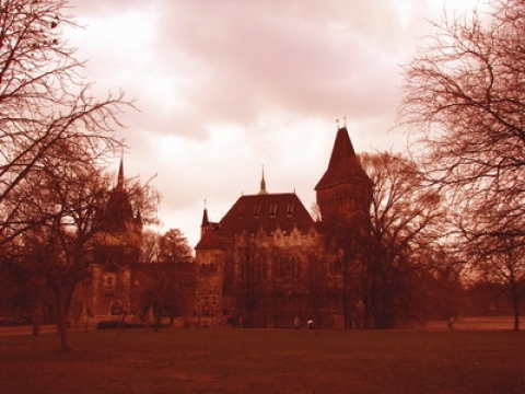 Castelul Corvinestilor (3)