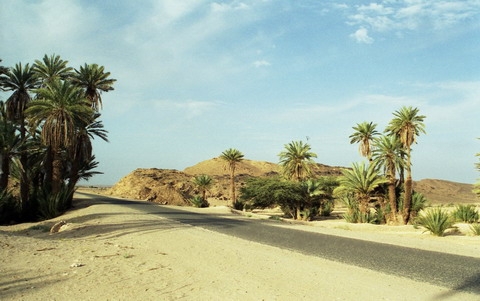 Drum prin desert