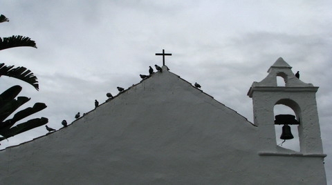 Popas pe acoperisul bisericii