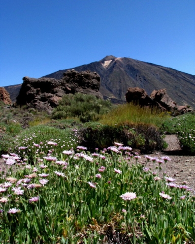 Vulcanul El Teide(3)