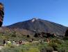 Vulcanul El Teide(2)