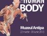 The Human Body – poster