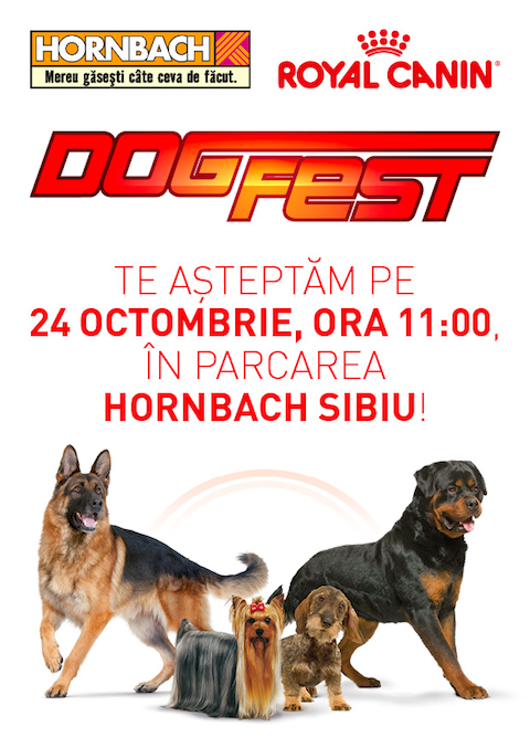 DogFest 2015