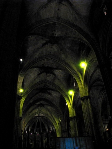 Catedrala Gotica - Barcelona (5)