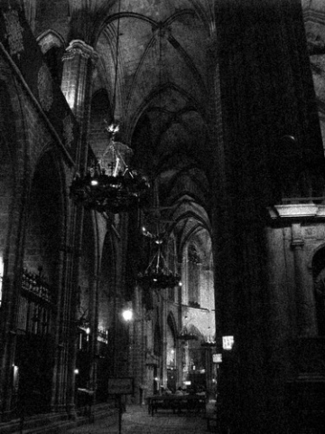 Catedrala Gotica - Barcelona (6)