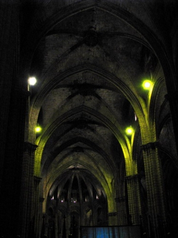 Catedrala Gotica - Barcelona (7)