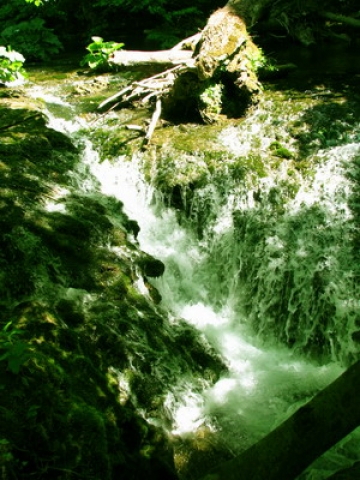 Cascada La Vaioaga