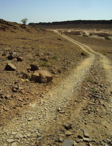 Drum prin hamada marocana