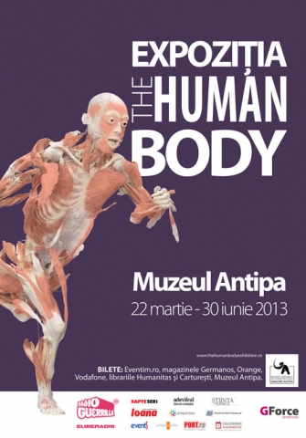 The Human Body – poster
