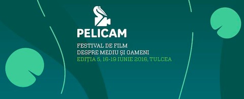 Pelicam IFF 2016