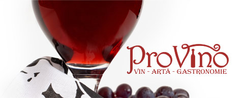 provin - vin gastronomie