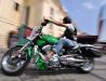 HOG - Harley Davidson