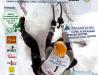 Poster: Ice world climbing championship