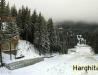 Ninge la Harghita Bai